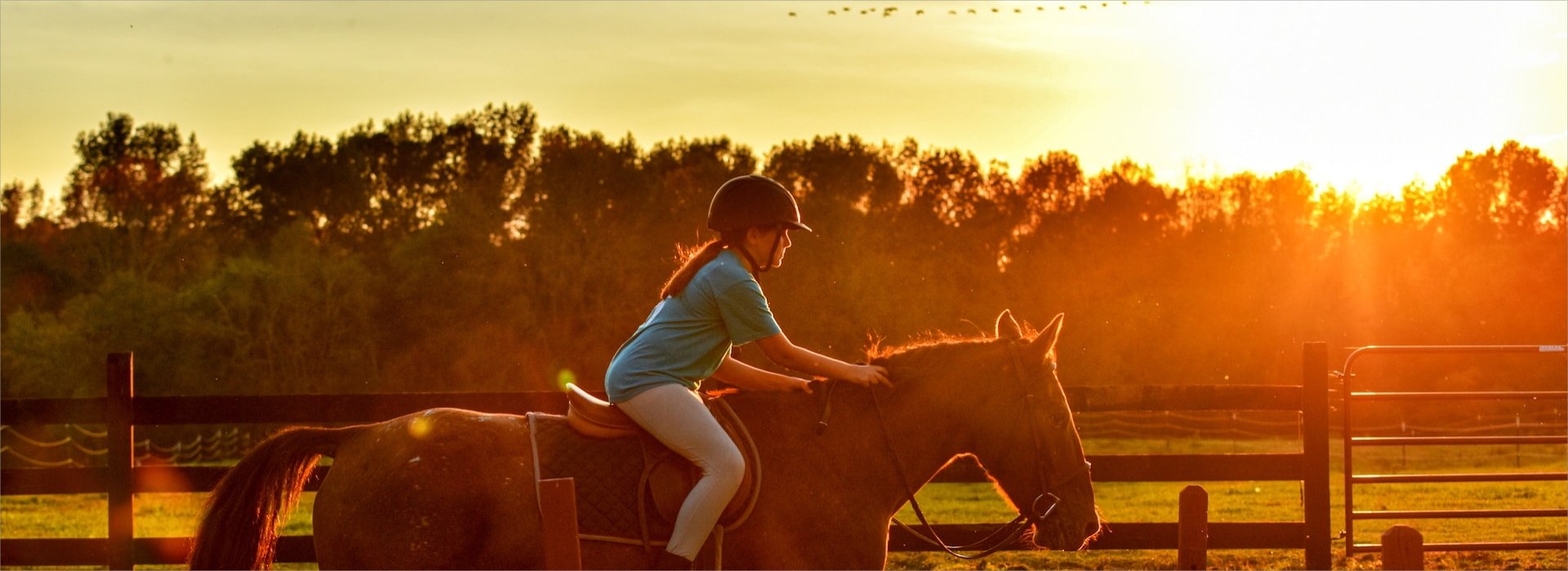 Titelseite -Reiter Geschäft carlos fernando bendfeldt md HHADtL5wK0M unsplash1