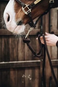 Kentucky Horsewear Führstrick Loop