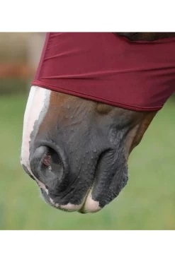 PREMIER EQUINE Fliegenhaube Comfort Tech -Reiter Geschäft fliegenhaube comfort tech wine 1zMXJpV1vH 5