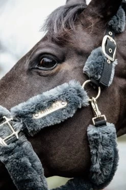 Kentucky Horsewear Genisckstück Für Transporthalfter Mit Fell 7 Kentucky Horsewear Genisckstück Für Transporthalfter Mit Fell -Reiter Geschäft genisckst ck f r transporthalfter mit fell grey Bph3E3yFdJ 5