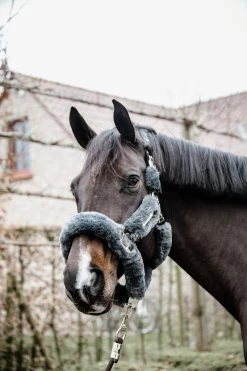Kentucky Horsewear Genisckstück Für Transporthalfter Mit Fell