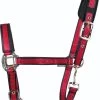 Halfter 1 Halfter -Reiter Geschäft halfter navy rot 1LFgh1eWN 1 3