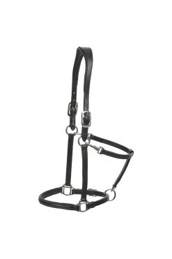 Halfter Anatomic, Leder