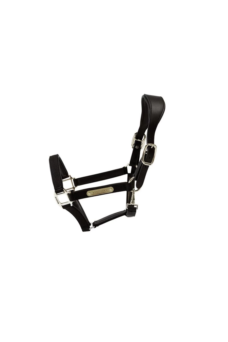 Kentucky Horsewear Halfter Anatomisch Nylom 3 Kentucky Horsewear Halfter Anatomisch Nylom