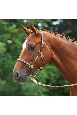 Halfter Brand, Leder