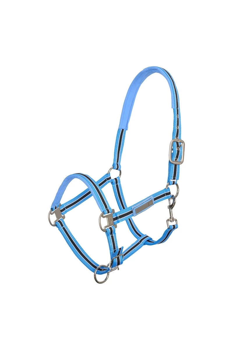 Halfter HVPClassic Stripe 3 Halfter HVPClassic Stripe