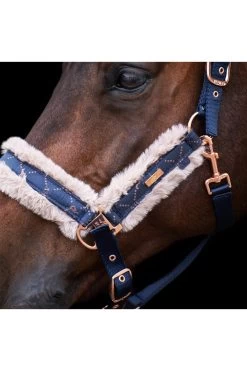 Halfter HVPWelmoed Shine 7 Halfter HVPWelmoed Shine -Reiter Geschäft halfter hvpwelmoed shine navy 804BWvY87t 5 2