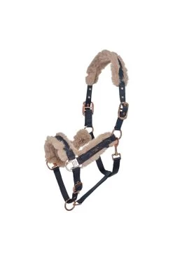 Halfter HVPWelmoed Shine