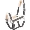 Waldhausen Halfter Sparkle 2 Waldhausen Halfter Sparkle -Reiter Geschäft halfter sparkle grau ChG 65emkc 1 3