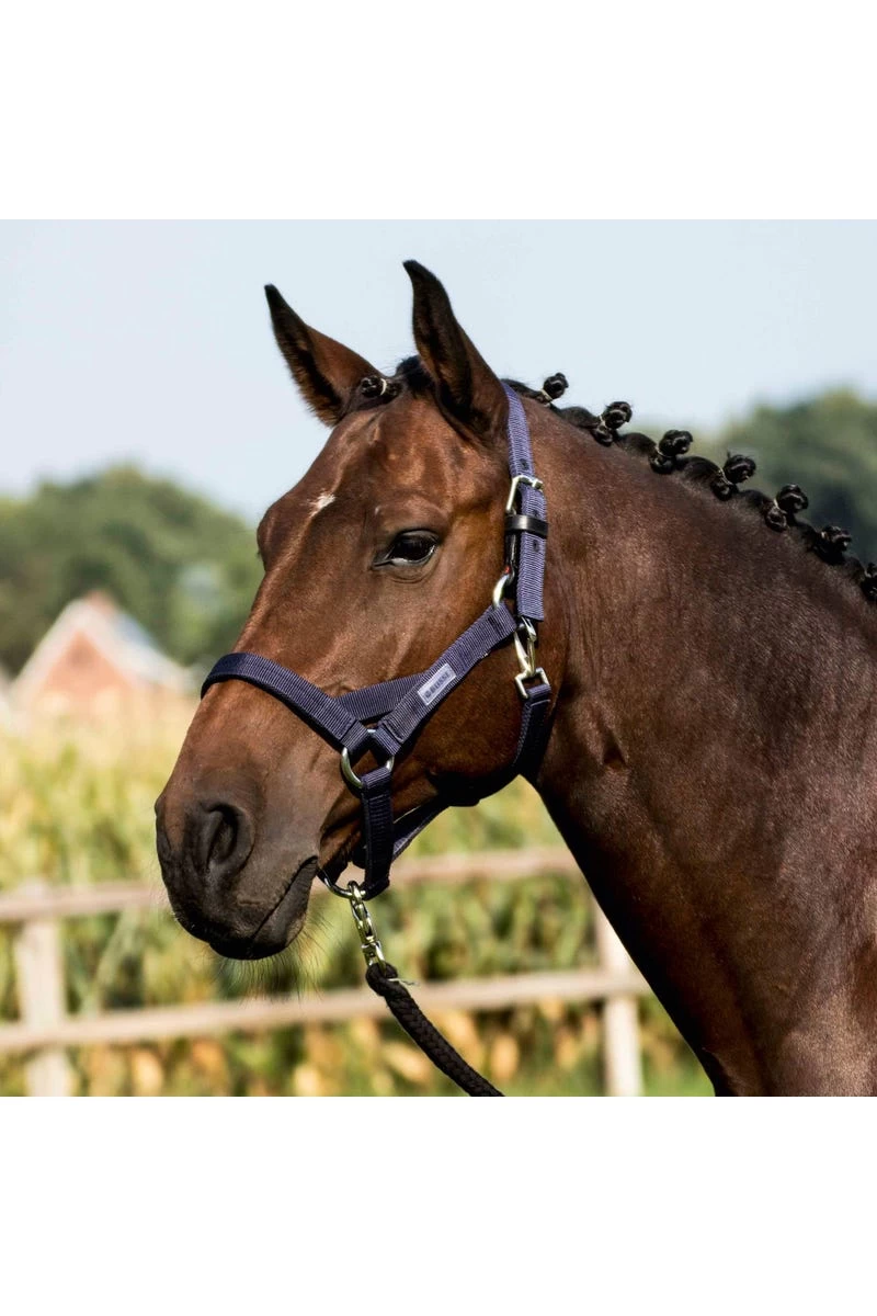 Halfter Strong Ho II 3 Halfter Strong Ho II