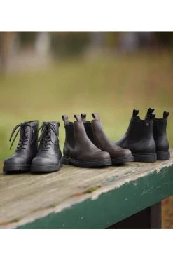 Jodhpurstiefelette Secura Für Damen -Reiter Geschäft jodhpurstiefelette secura f r damen braun BDiQUuwhmq 3 8