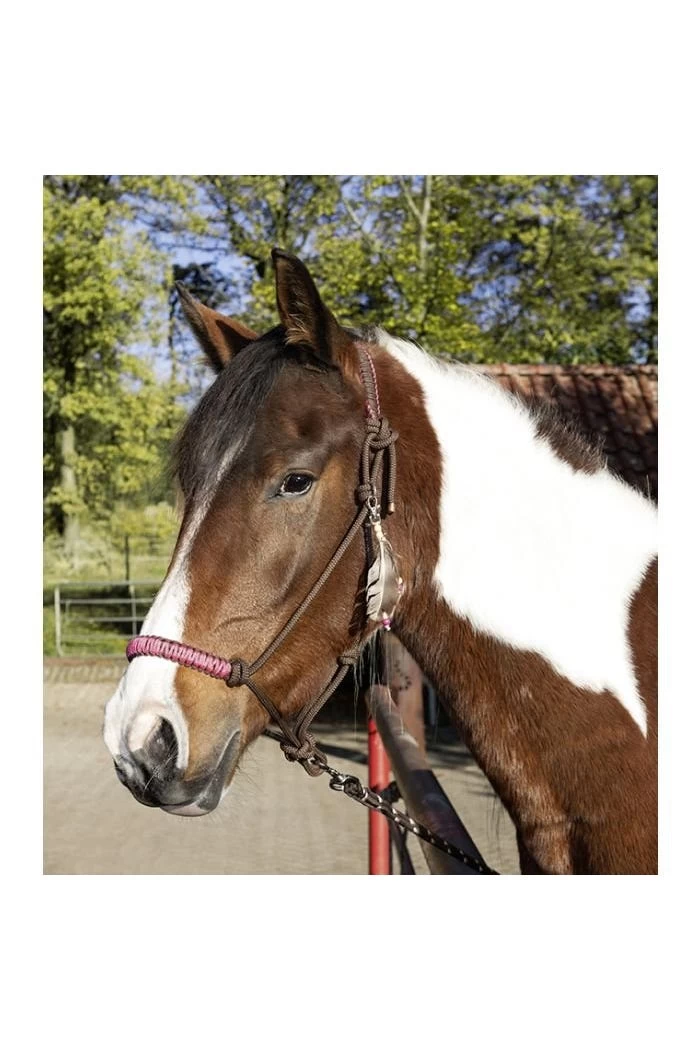 Knotenhalfter Arizona, Pony 4 Knotenhalfter Arizona, Pony – Bild 2