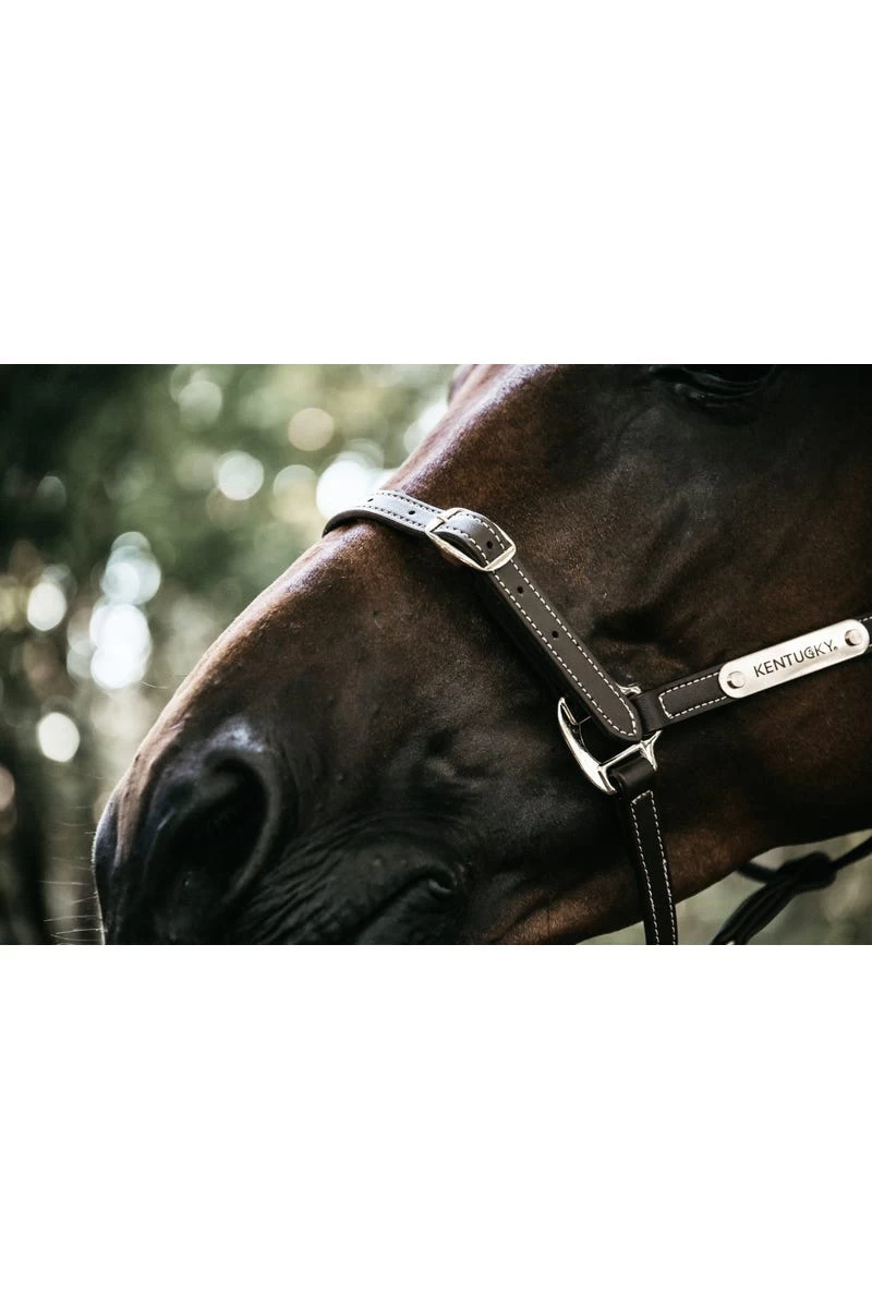 Kentucky Horsewear Lederhalfter Flexibel 4 Kentucky Horsewear Lederhalfter Flexibel – Bild 2