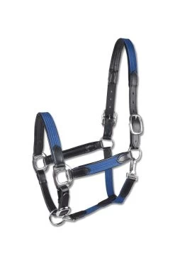 Star Lederhalfter Mix