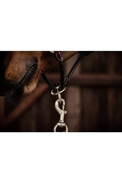 Kentucky Horsewear Lederhalfter Rope 7 Kentucky Horsewear Lederhalfter Rope -Reiter Geschäft lederhalfter rope brown 137wWJMNpv 5 2