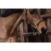 Kentucky Horsewear Lederhalfter Rope -Reiter Geschäft lederhalfter rope brown cXCsCOnXlM 1 2