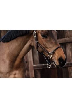 Kentucky Horsewear Lederhalfter Rope