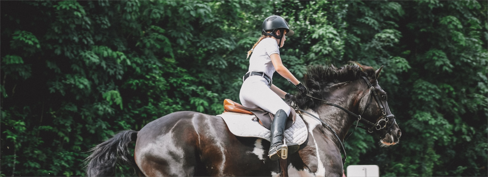 Titelseite -Reiter Geschäft lily banse vLrlxsNKE3Y unsplash1