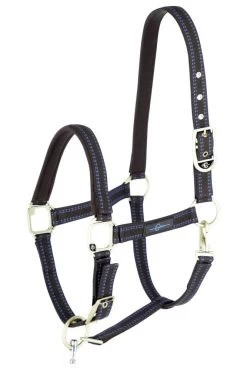 Pferdehalfter Für Goleygo-System-hellblau Von Covalliero