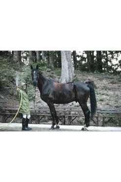 Regenmantel 2.0 Für Damen -Reiter Geschäft regenmantel 20 f r damen olive mvuwwNG Is 13 2