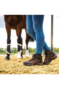 Reit- & Stallschuh Dallas -Reiter Geschäft reit stallschuh dallas braun kbNLj5 jGe 3 10