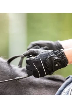 Reithandschuh Function -Reiter Geschäft reithandschuh function schwarz Zl lGErZBh 3 6