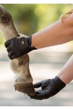 Reithandschuhe Classic Design -Reiter Geschäft reithandschuhe classic design black 03GTjFkU5a 5