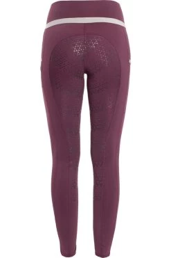 Reitleggings Silver Design Mit Silikonvollbesatz Für Damen -Reiter Geschäft reitleggings silver design mit silikonvollbesatz f r damen Oyi01Q 9wH 5 11