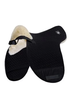 Satteldecke Champ Springen, WB