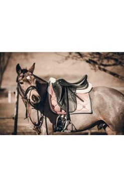 Sattelpad Classic Plus, WB 10 Sattelpad Classic Plus, WB -Reiter Geschäft sattelpad classic plus wb schwarz natur p4 xba5R9x 7 1