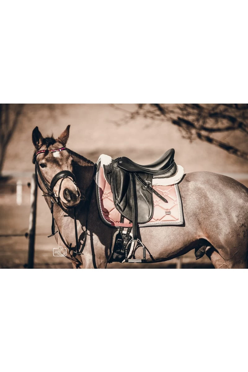 Sattelpad Classic Plus, WB 6 Sattelpad Classic Plus, WB – Bild 4