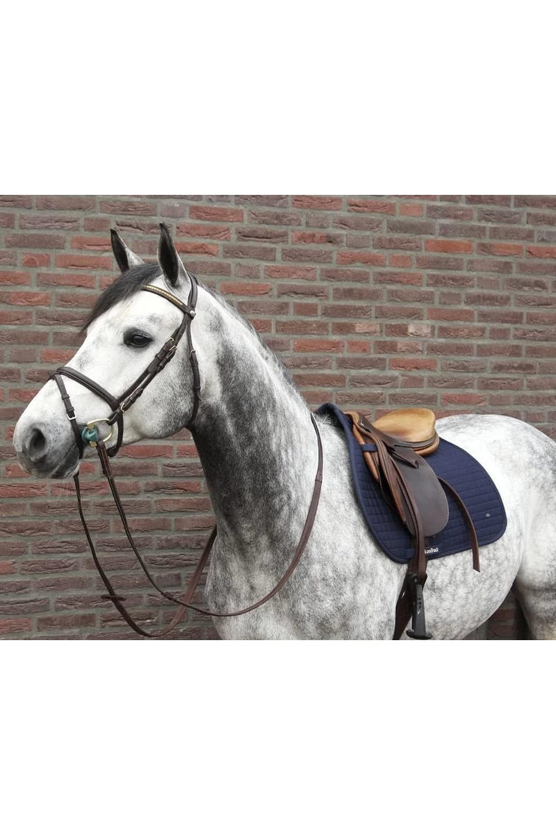 Schabracke No. I Springen, Navy 4 Schabracke No. I Springen, Navy – Bild 2