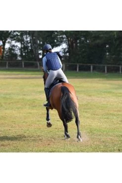 Sicherheitsweste Burghley -Reiter Geschäft sicherheitsweste burghley navy oDy9ej7b9 5 8