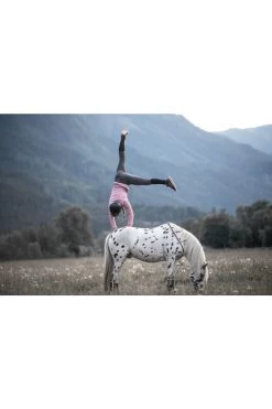 Silikonvollbesatzreithose Mesh-Design 2.0 Für Damen -Reiter Geschäft silikonvollbesatzreithose mesh design 20 f r damen dark grey b5ftMHPLg9 11