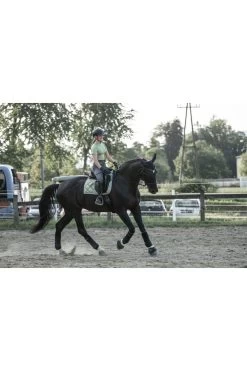 Sommerbaselayer Kurzarm Mesh-Design Für Damen -Reiter Geschäft sommerbaselayer kurzarm mesh design f r damen winter pear dqgkvE9sac 9 9