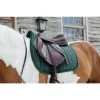 Kentucky Horsewear Springschabracke Samt Pearls, WB-SP 2 Kentucky Horsewear Springschabracke Samt Pearls, WB-SP -Reiter Geschäft springschabracke samt pearls wb sp pine green HDRQb rM j 1
