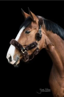 Kentucky Horsewear Transporthalfter Mit Fell