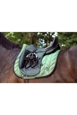 Vielseitigkeitsschabracke Haye, VB-VS