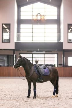 Vielseitigkeitsschabracke IRHCosmic Sparkle 8 Vielseitigkeitsschabracke IRHCosmic Sparkle -Reiter Geschäft vielseitigkeitsschabracke irhcosmic sparkle navy 1NmYXXOP t 5 3