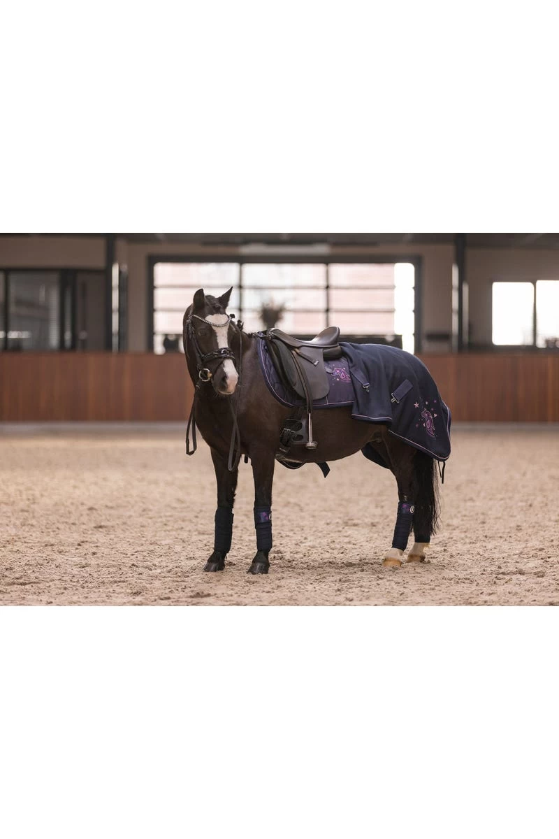 Vielseitigkeitsschabracke IRHCosmic Sparkle 6 Vielseitigkeitsschabracke IRHCosmic Sparkle – Bild 4