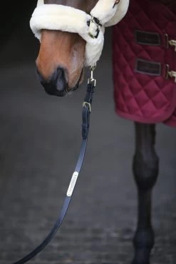 Kentucky Horsewear Vorführstrick