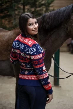 Weihnachtspullover "Merry Chiristmas" Für Damen -Reiter Geschäft weihnachtspullover merry chiristmas f r damen Fc0cJk5vom 9