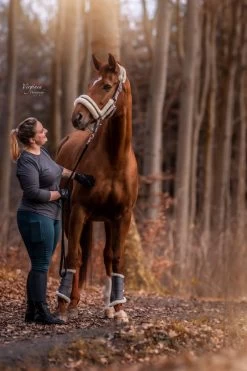 Winterreitleggings All-Season Classic Design Mit Silikonvollbesatz -Reiter Geschäft winterreitleggings all season classic design mit silikonvollbesat mLrDKU96H7 9 12